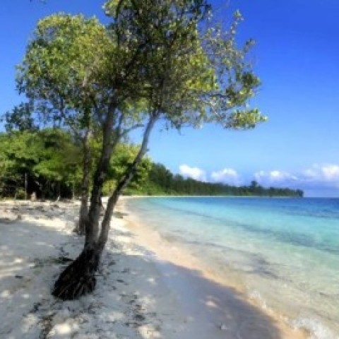 10234 Wisata Pantai Pulau Mour